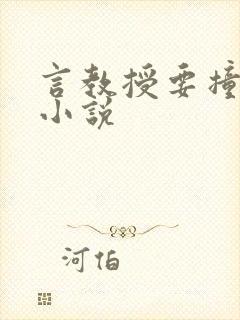 言教授要撞坏了小说