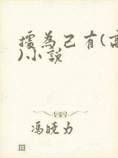 据为己有(高干)小说