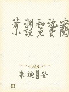 萧渊和沈安安的小说免费阅读