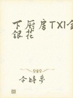 下厨房TXl金银花