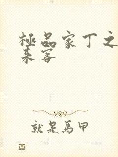 极品家丁之远方来客