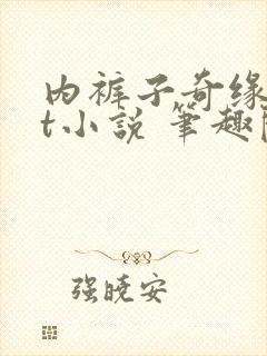 内裤子奇缘txt小说 笔趣阁