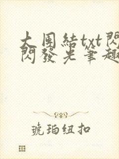 大团结txt闪闪发光笔趣阁