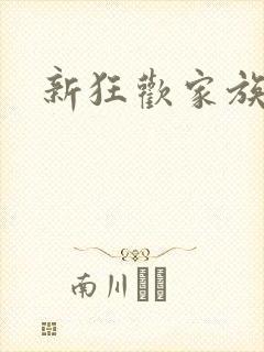 新狂欢家族小说