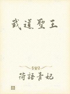 武道圣王
