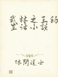 武林之王的退隐生活小说