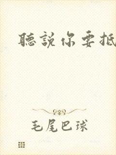 听说你要抵抗我