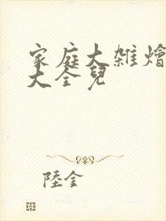 家庭大杂烩小说大全儿