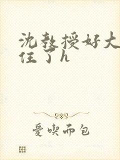 沈教授好大含不住了h