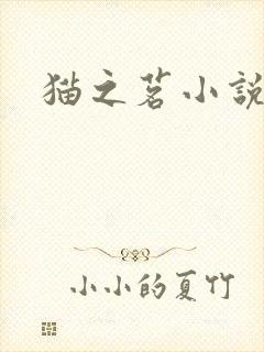猫之茗小说