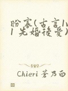 盼寡(古言1v1 先婚后爱)