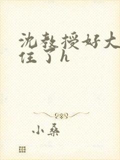 沈教授好大含不住了h