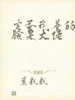 完蛋我养的小白脸是大佬