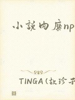 小说肉糜np