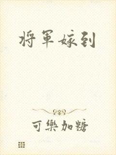 将军嫁到