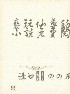 亵玩仙尊的道侣小说免费阅读