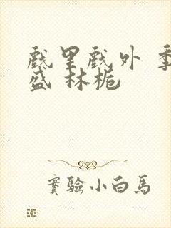 戏里戏外 季淮盛 林栀