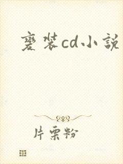 变装cd小说