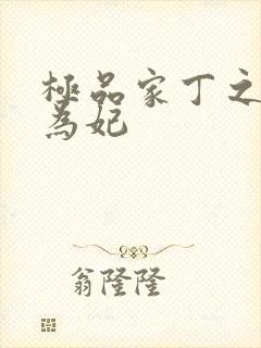 极品家丁之册母为妃