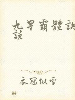 九星霸体诀 小说