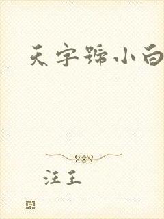 天字号小白脸