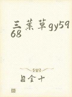 三叶草gy5968
