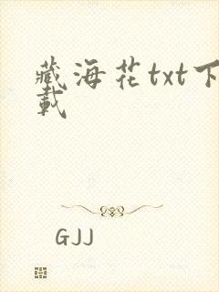 藏海花txt下载