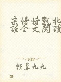 宋惜惜战北望小说全文阅读