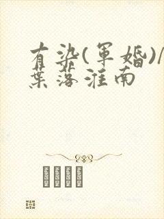 有染(军婚)/叶落淮南