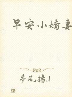 早安小娇妻