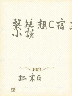 系统想C宿主的小说