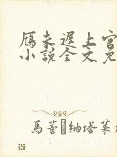 雁未迟上官穿越小说全文免费阅读