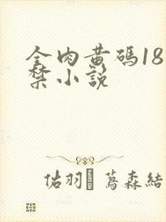 全肉黄码18无禁小说