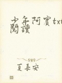 少年阿宾txt阅读
