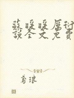 苏暖暖厉衍琛小说全文免费阅读