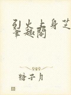 引火上身芝麻糖笔趣阁