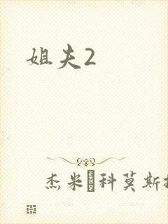 姐夫2