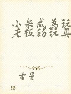 小米成为玩具店老板的玩具