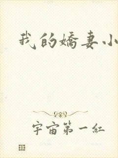 我的娇妻小说