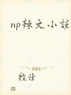 np辣文小说