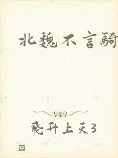 《北魏不言骑》小说封面