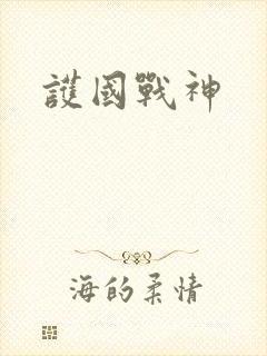 护国战神