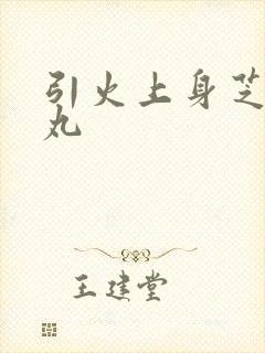 引火上身芝麻糖丸