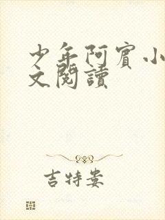 少年阿宾小说全文阅读