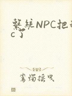 系统NPC把我c了