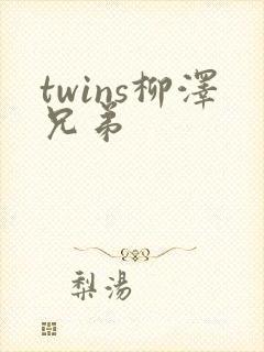 twins柳泽兄弟封面