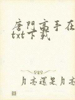 唐门高手在异世txt下载