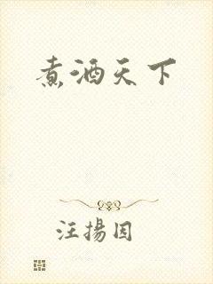 《煮酒天下》小说封面