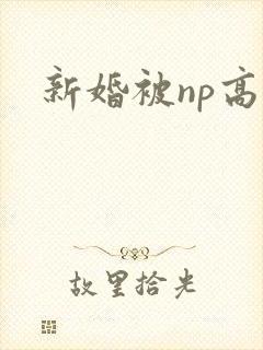 新婚被np高h