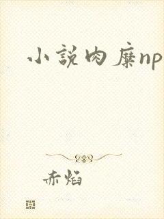 小说肉糜np